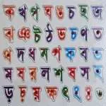 Kids Learning wooden alphabet and digit puzzle toy - Image 2